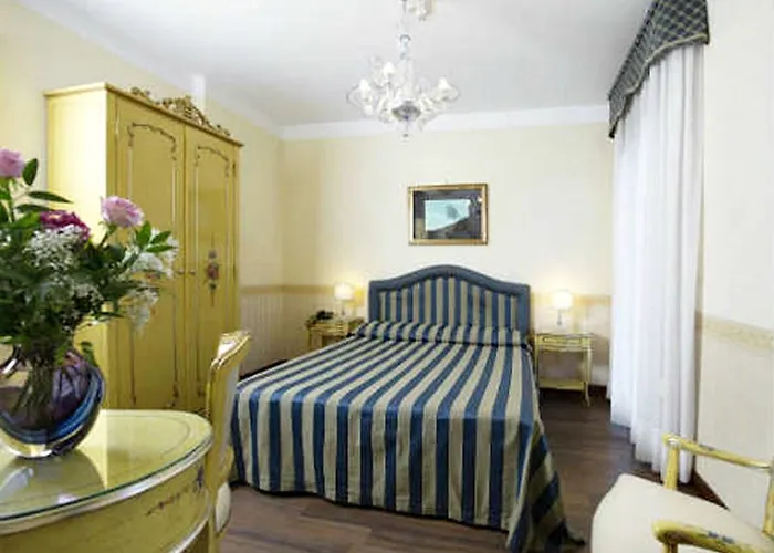 Edera 3*